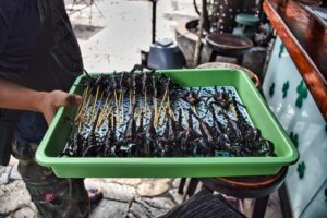 local man selling fried scorpions khao san road